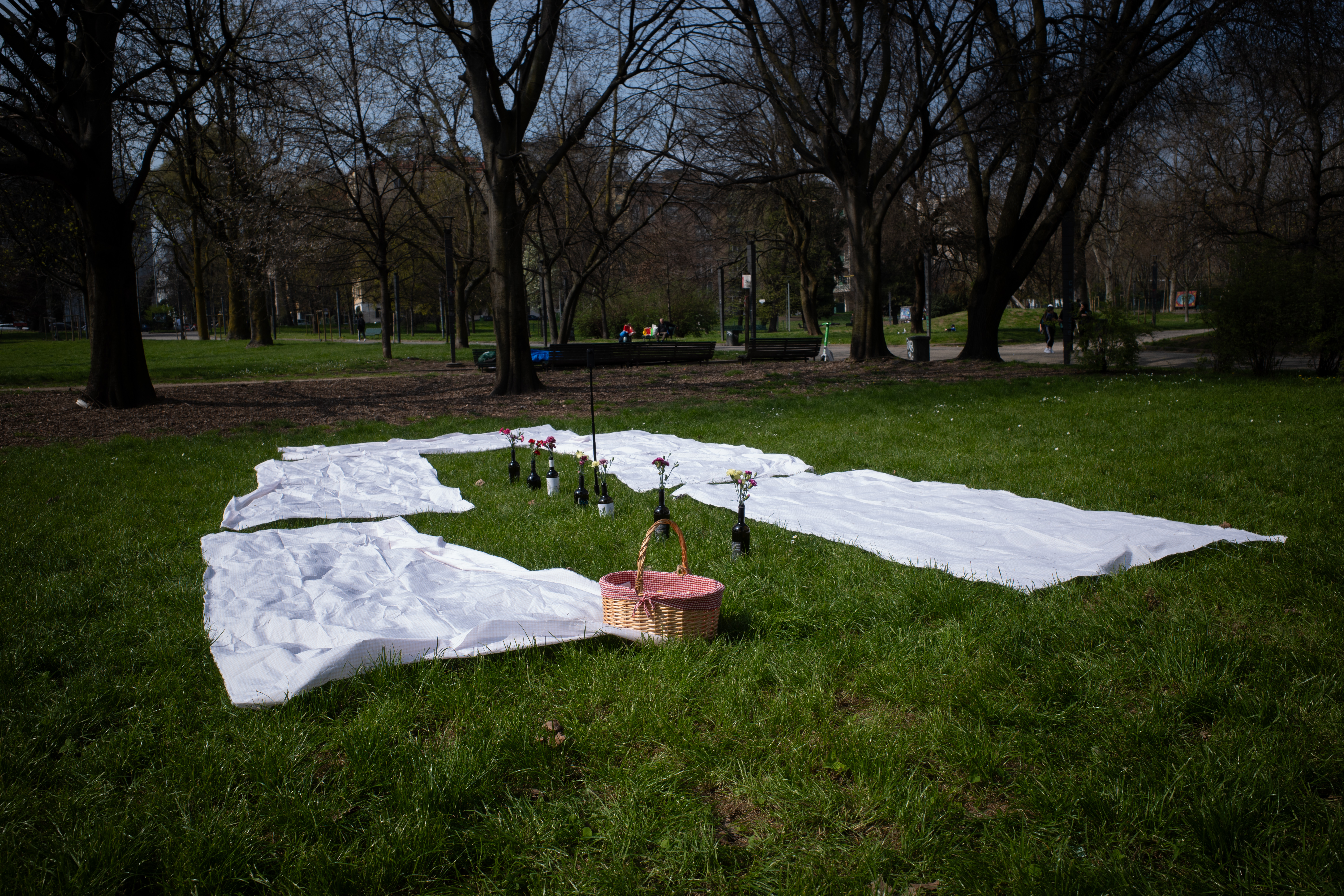 Funcional & Picnic setup